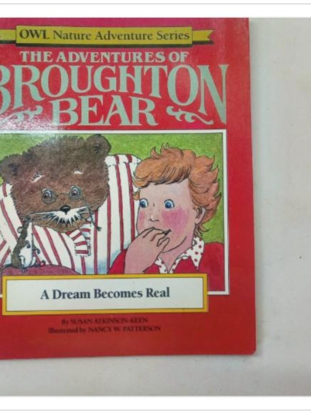 The Adventures of Broughton Bear A Dream Becomes Real Greey de Pencier 1985 PB